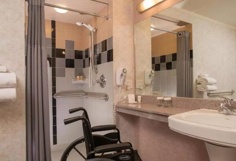 호텔 The Voyager Inn