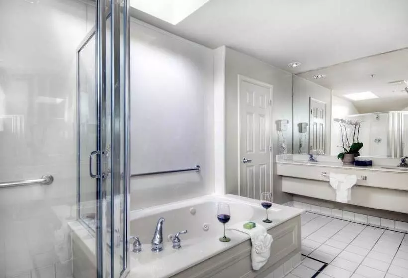 Hotel University Park Inn & Suites