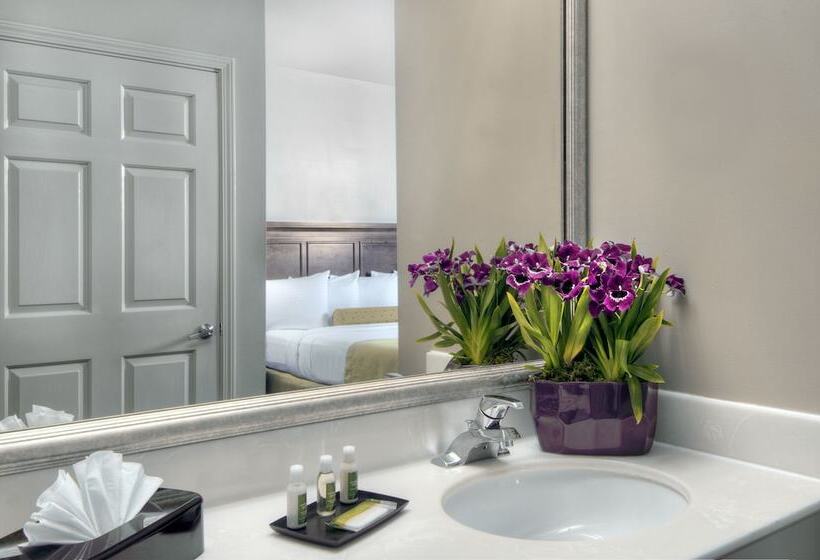 酒店 University Park Inn & Suites