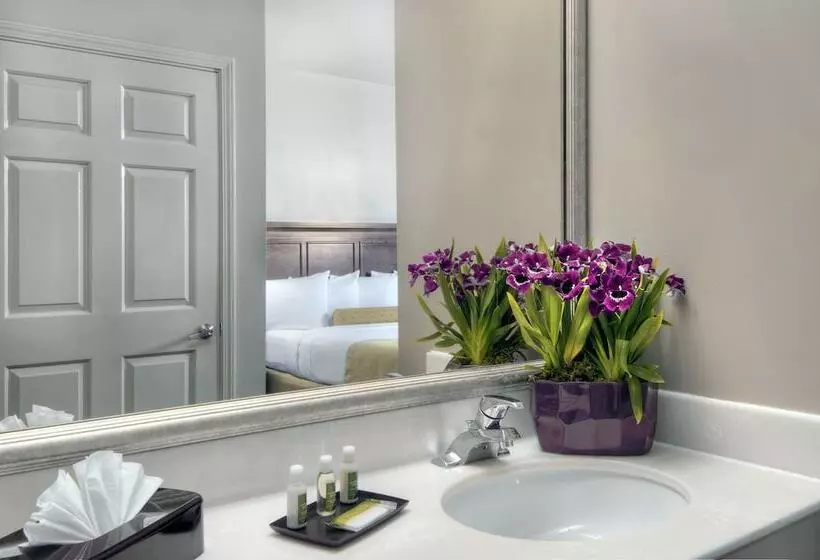 Hotel University Park Inn & Suites