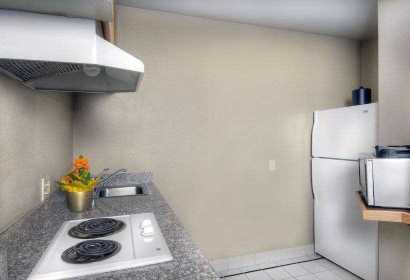 酒店 University Park Inn & Suites