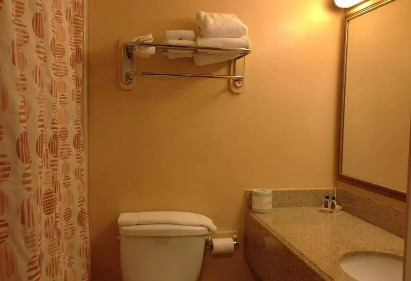 בית מלון כפרי Village Inn