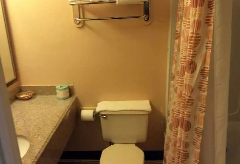 בית מלון כפרי Village Inn