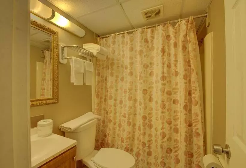 בית מלון כפרי Village Inn