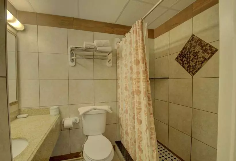 בית מלון כפרי Village Inn