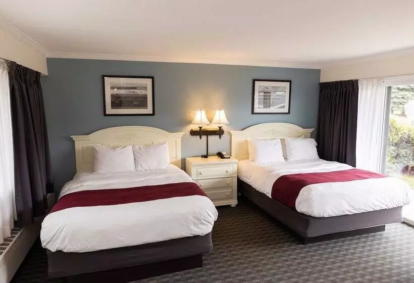 호텔 Weathervane Terrace Inn And Suites