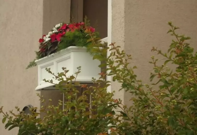 Отель West Bank Inn