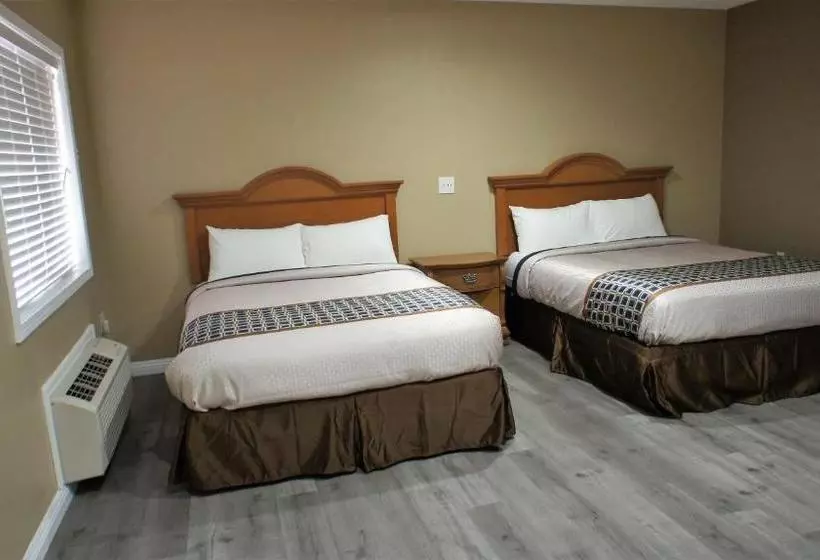 فندق على الطريق Executive Inn