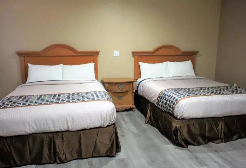 فندق على الطريق Executive Inn