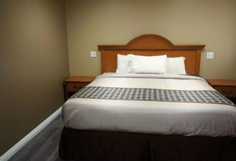 فندق على الطريق Executive Inn