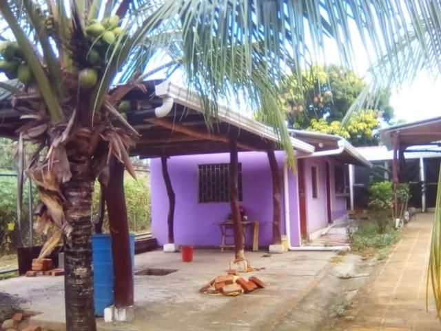 تختخواب و صبحانه Casa Pura Vida