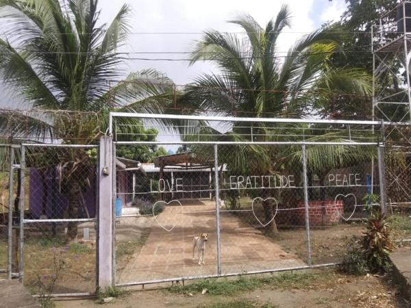 تختخواب و صبحانه Casa Pura Vida