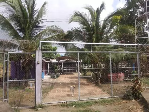 تختخواب و صبحانه Casa Pura Vida