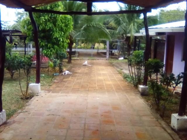 تختخواب و صبحانه Casa Pura Vida