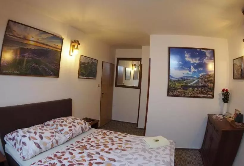 Hotelli Britannia Vsetín