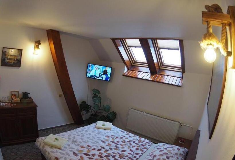 酒店 Britannia Vsetín