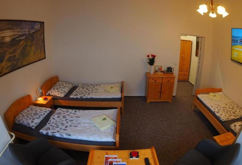 酒店 Britannia Vsetín