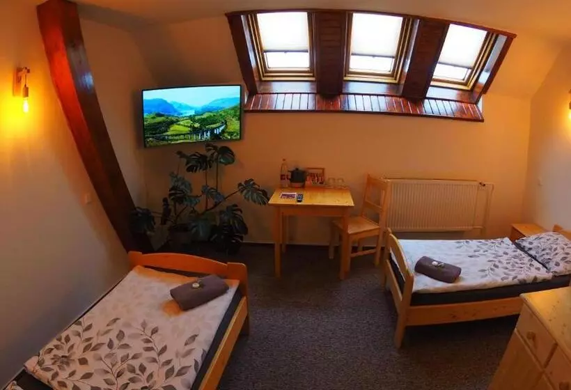 Hotelli Britannia Vsetín