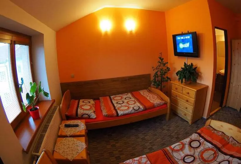 Hotelli Britannia Vsetín