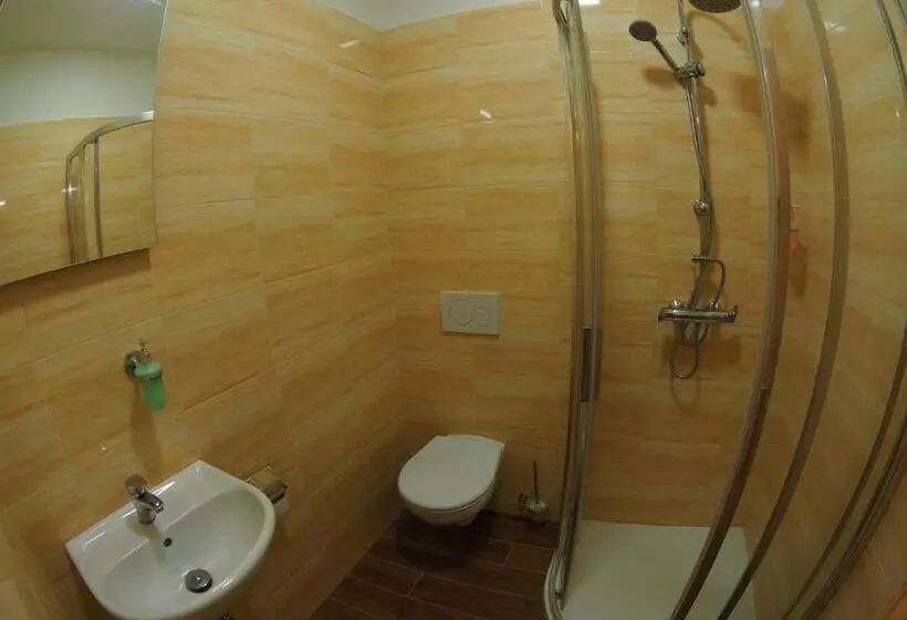 Hotelli Britannia Vsetín