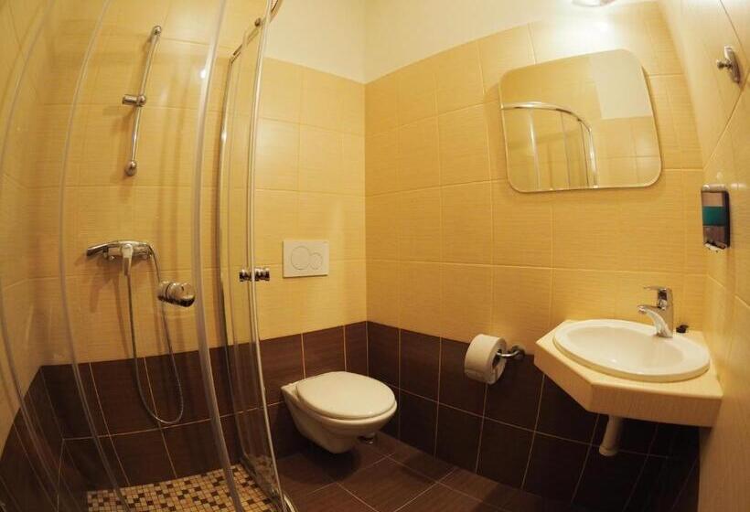 酒店 Britannia Vsetín