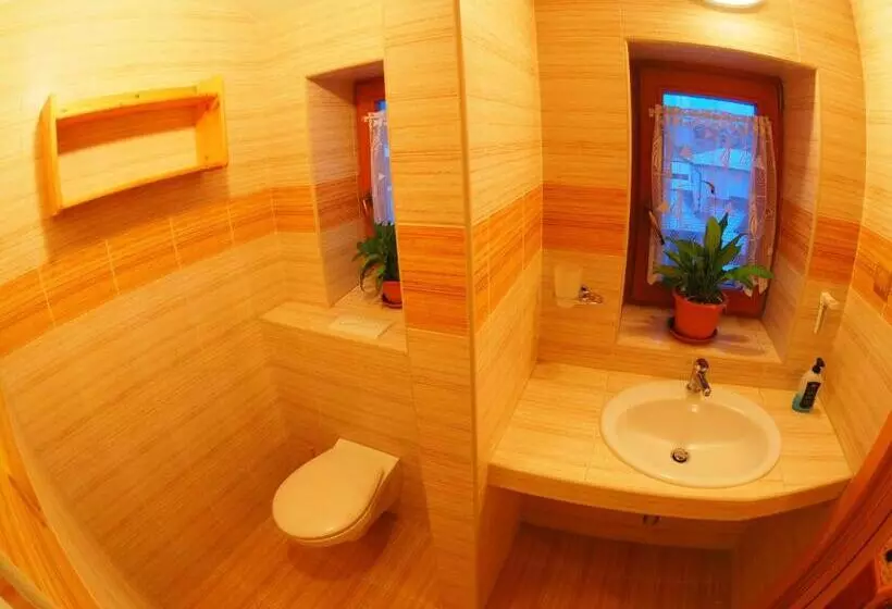 Hotelli Britannia Vsetín