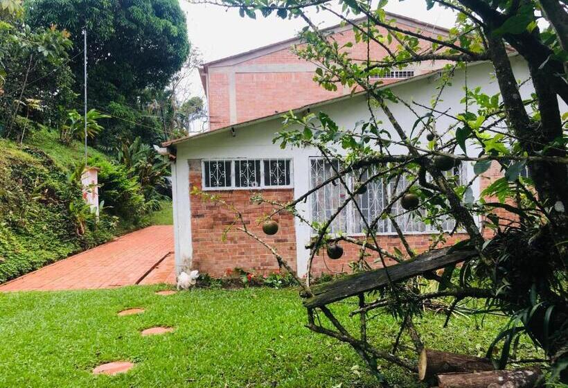 酒店 Kaliawiri Bird Lodge & Reserve