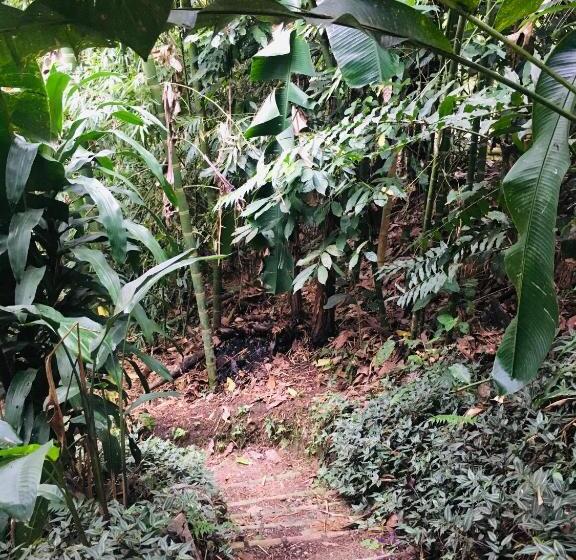 酒店 Kaliawiri Bird Lodge & Reserve