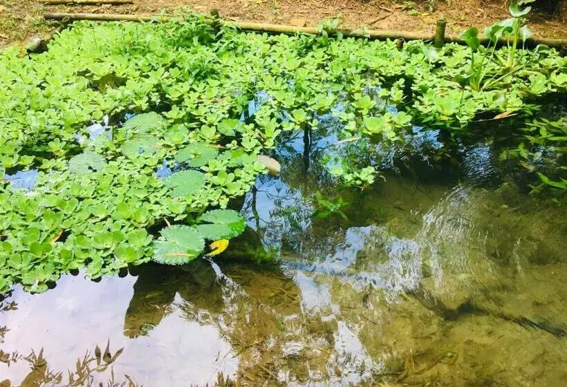 Hotelli Kaliawiri Bird Lodge & Reserve
