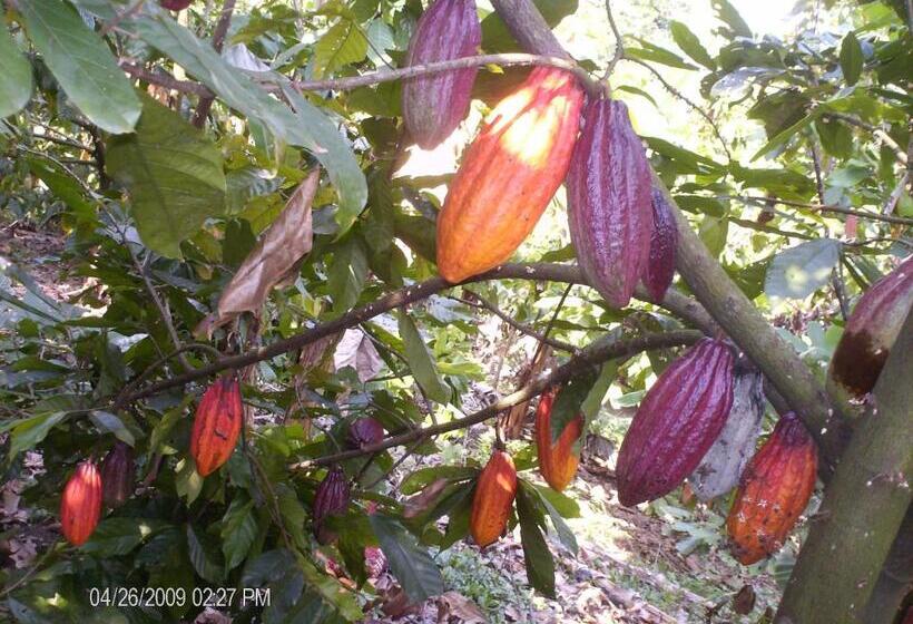 酒店 Kaliawiri Bird Lodge & Reserve