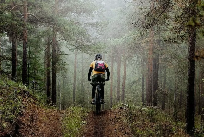 ホテル Evedals Camping Växjö