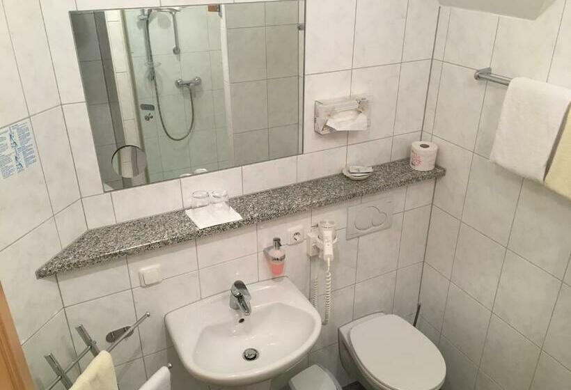 Отель Saaletalstuben