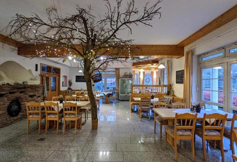 Отель Saaletalstuben