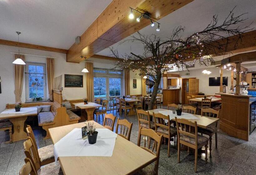 Отель Saaletalstuben