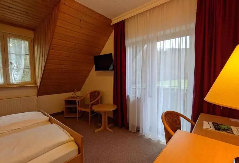 فندق Saaletalstuben