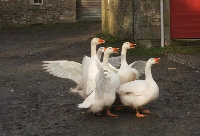 ホテル Wiltonburn Farm B&b