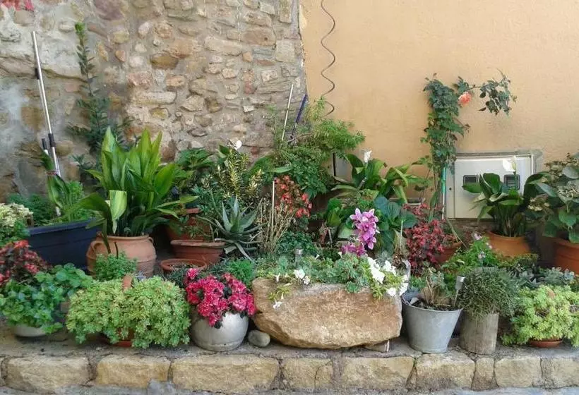 Estudios Casa Lola De Talarn