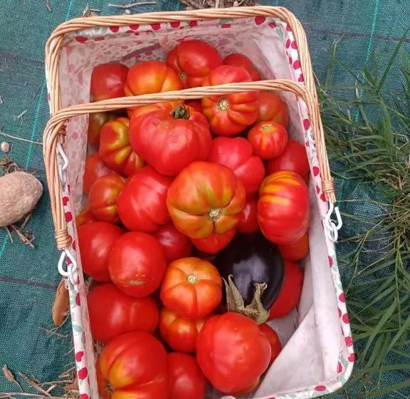 ホテル Agriturismo Corte Patrizia