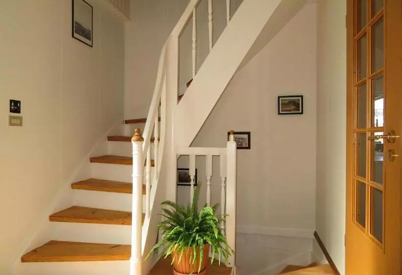 Húsavík Green Hostel
