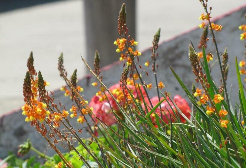 ホテル Portal De La Cumbre