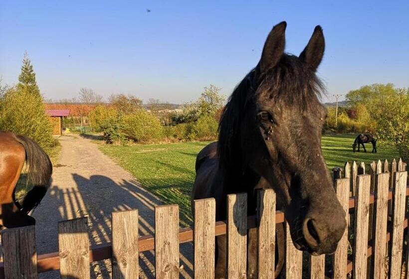 פנסיון Penzion Orlov