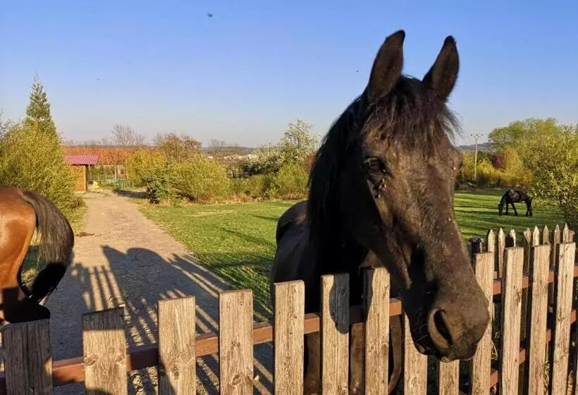 Majatalo Penzion Orlov