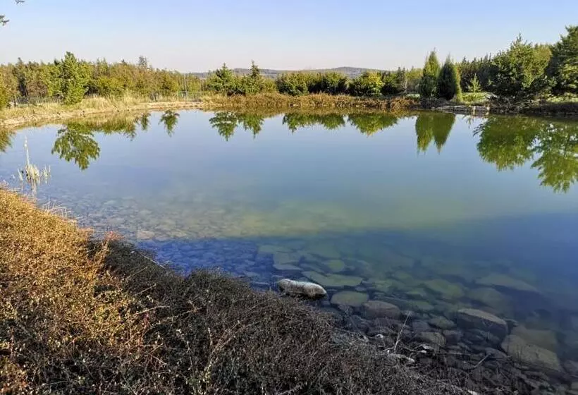 Majatalo Penzion Orlov