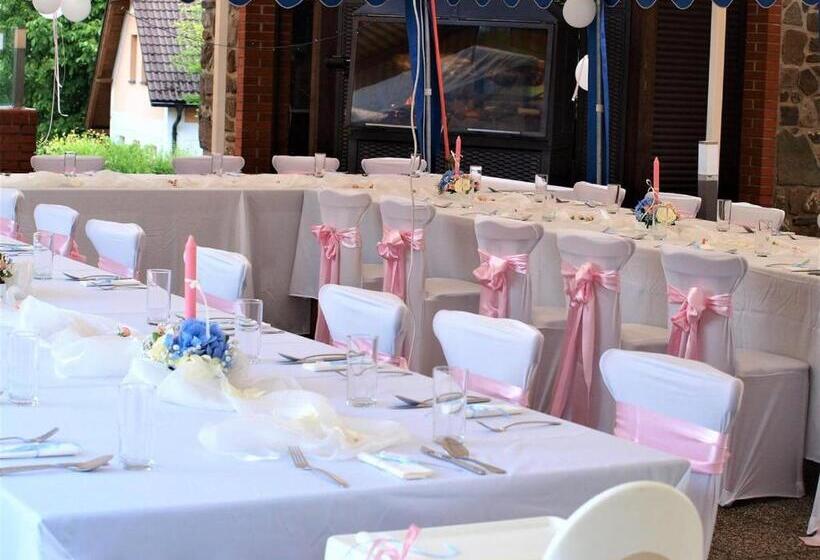 פנסיון Penzion Orlov