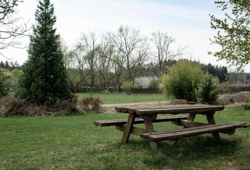 פנסיון Penzion Orlov