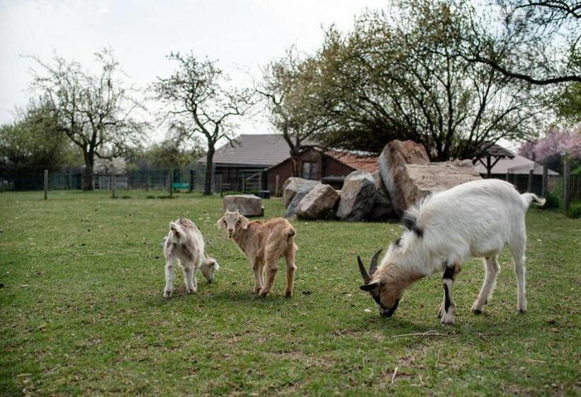 פנסיון Penzion Orlov