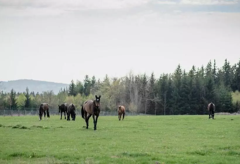 Majatalo Penzion Orlov