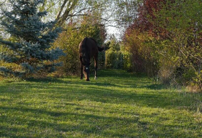 פנסיון Penzion Orlov