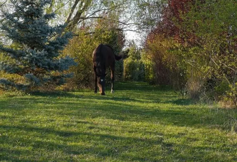 Majatalo Penzion Orlov