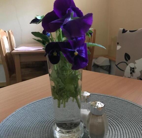 Pension Aura špičák, Některé Pokoje Se Saunou